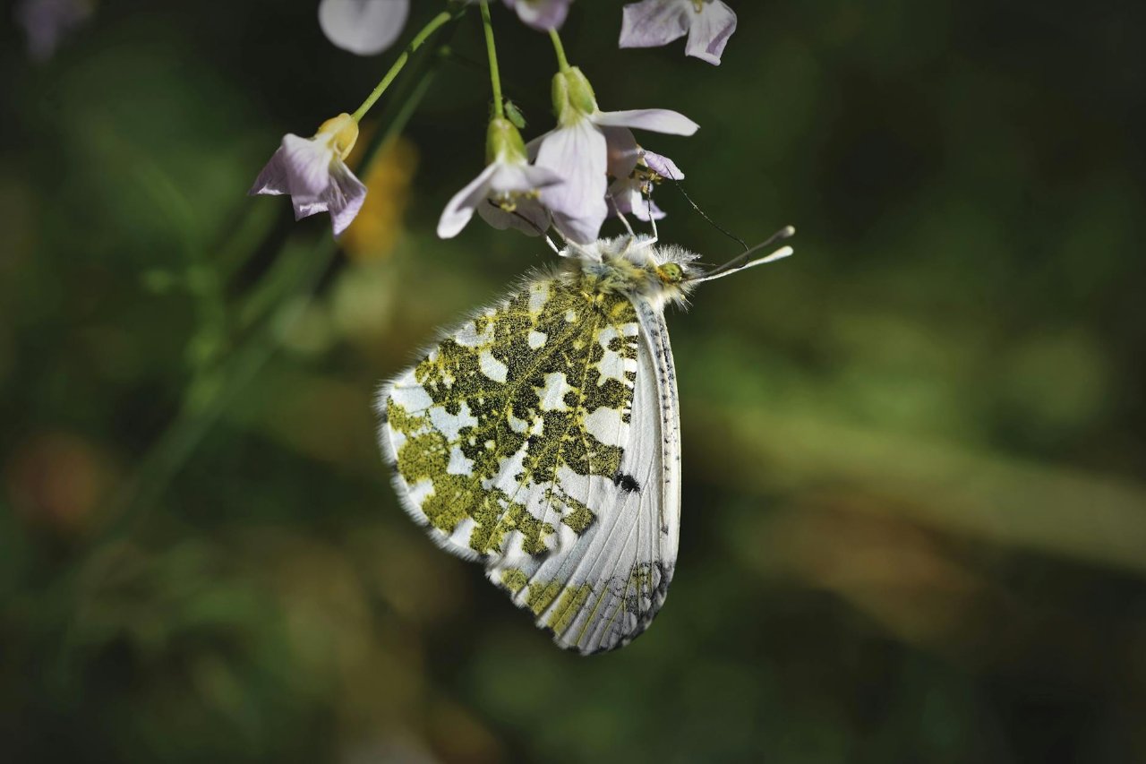 美容室の施術風景